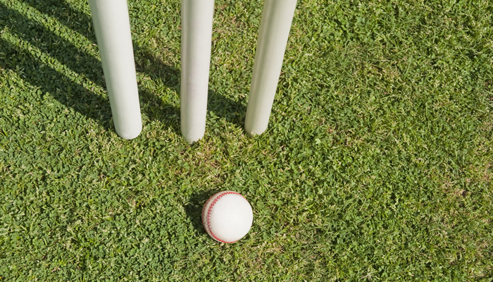 [Article] Anyone for Cricket?